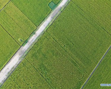 Understanding How Lo Yang China's River Routes Shaped the Silk Road